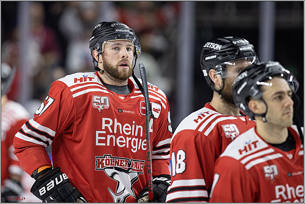 PENNY DEL;  Koelner Haie - Bietigheim Steelers; Koeln, 22.01.2023